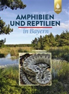 Eberhar Andr&auml;, Eberhard Andr&auml;, Ott Assmann, Otto A&szlig;mann, Thomas D&uuml;rst, Thomas u a D&uuml;rst... - Amphibien und Reptilien in Bayern