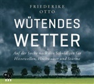 Friederike Otto, Knud Fehlauer - W&uuml;tendes Wetter, 1 Audio-CD (Audio book)