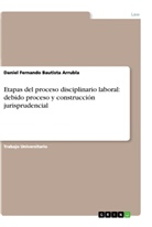 Daniel Fernando Bautista Arrubla - Etapas del proceso disciplinario laboral: debido proceso y construcci&oacute;n jurisprudencial