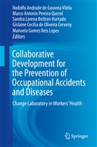 Marc Antonio Pereira Querol, Marco Antonio Pereira Querol, Sandra Lorena Beltran Hurtado, Gislaine Cec&iacute;lia de Oliveira Cerveny, Manoela Gomes Reis Lopes, Lorena Beltran Hurta... - Collaborative Development for the Prevention of Occupational Accidents and Diseases