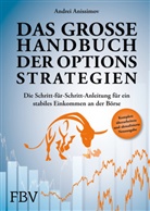 Andrei Anissimov - Das gro&szlig;e Handbuch der Optionsstrategien