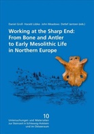 Gross, D Gross, D. Gross, D Jantzen, D. Jantzen, L&uuml;bke... - Working at the Sharp End: