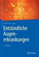Uw Pleyer, Uwe Pleyer - Entz&uuml;ndliche Augenerkrankungen