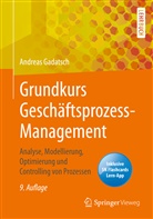 Andreas Gadatsch - Grundkurs Gesch&auml;ftsprozess-Management, m. 1 Buch, m. 1 E-Book