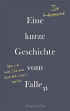 Joe Hammond - Eine kurze Geschichte vom Fallen