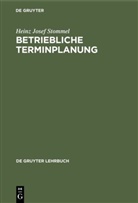 Heinz J Stommel, Heinz Josef Stommel - Betriebliche Terminplanung