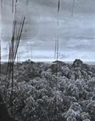 Guido Baselgia, Florencia Garramuno, Teresa Gruber, Schweiz Fotostiftung - Als ob die Welt zu vermessen w&auml;re