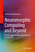 Khaled Salah Mohamed - Neuromorphic Computing and Beyond