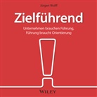 Siegfried Lachmann, J&uuml;rgen Wulff - Zielf&uuml;hrend, Audio-CD (Audio book)