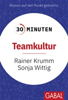 Rainer Krumm, Sonja Wittig - 30 Minuten Teamkultur