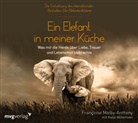 Fran&ccedil;ois Malby-Anthony, Fran&ccedil;oise Malby-Anthony, Katja Willemsen - Ein Elefant in meiner K&uuml;che, Audio-CD (Audio book)