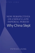 Patrick Leung - New Perspectives on China's Late Imperial Period