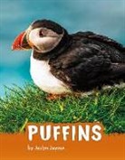 Jaclyn Jaycox - Puffins