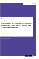 Anonym - Multimodales Stressmanagementkonzept. Ma&szlig;nahmen gegen Stressbelastung und Pr&uuml;fung der Wirksamkeit