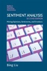 Liu Bing Liu, Bing Liu, Bing (University of Illinois Liu, Liu Bing - Sentiment Analysis