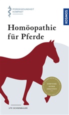 Ute Ochsenbauer - Hom&ouml;opathie f&uuml;r Pferde