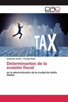 Endashaw Demle, Tekalign Nega - Determinantes de la evasi&oacute;n fiscal