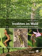 Beat Wermelinger - Insekten im Wald