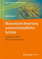 Martin Gocht - &Ouml;konomische Bewertung wasserwirtschaftlicher Systeme