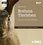 Alfred Brehm, Thomas Holtzmann - Brehms Tierleben, 1 Audio-CD, 1 MP3 (H&ouml;rbuch)