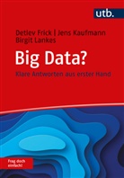 Detlev Frick, Detlev (Prof. Dr. Frick, Jens Kaufmann, Jens (Prof. D Kaufmann, Birgit Lankes - Big Data? Frag doch einfach!