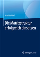 Joachim Wolf - Die Matrixstruktur erfolgreich einsetzen