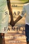 Shilpi Somaya Gowda, Gowda Shilpi Somaya - The Shape of Family