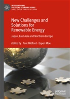 Pau Midford, Paul Midford, MOE, Moe, Espen Moe - New Challenges and Solutions for Renewable Energy