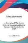Anson Phelps Stokes - Yale Endowments