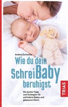 Andrea Zschocher - Wie du dein Schreibaby beruhigst