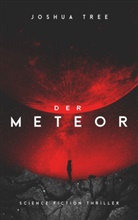 Joshua Tree - Der Meteor