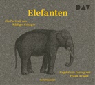Rüdiger Schaper, Frank Arnold, Judit Schalansky, Judith Schalansky - Elefanten. Ein Portrait, 3 Audio-CD (Audio book)
