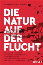 Benjamin von Brackel, Benjamin von Brackel - Die Natur auf der Flucht