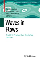 Tom&aacute;&iquest; Bodn&aacute;r, Tom&aacute;s Bodn&aacute;r, Giovanni P. Galdi, &iquest;&Aacute;rka Ne&iquest;asov&aacute;, S&aacute;rka Necasov&aacute;, Giovann P Galdi... - Waves in Flows