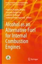 Avinash Kumar Agarwal, Giacom Belgiorno, Giacomo Belgiorno, Gabriele Di Blasio, Gabriele Di Blasio et al, Pravesh Chandra Shukla - Alcohol as an Alternative Fuel for Internal Combustion Engines