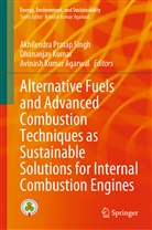 Avinash Kumar Agarwal, Dhananja Kumar, Dhananjay Kumar, Avinash Kumar Agarwal, Akhilendra Pratap Singh - Alternative Fuels and Advanced Combustion Techniques as Sustainable Solutions for Internal Combustion Engines