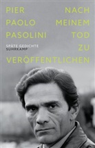 Pier Paolo Pasolini - Nach meinem Tod zu ver&ouml;ffentlichen