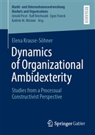Elena Krause-S&ouml;hner - Dynamics of Organizational Ambidexterity