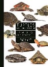 J. Whitfield Gibbons, Whit Gibbons, Jeffrey Lovich, Jeffrey (Co-Deputy Chief Lovich, Jeffrey E. Lovich, Jeffrey E. (Co-Deputy Chief Lovich... - Turtles of the World