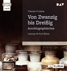Theodor Fontane, Kurt B&ouml;we - Von Zwanzig bis Drei&szlig;ig. Autobiographisches, 1 Audio-CD, 1 MP3 (Audio book)
