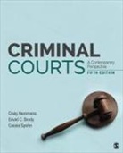 David C Brody, David C C Brody, David C. Brody, Craig T Hemmens, Craig T T Hemmens, Craig T. Hemmens... - Criminal Courts