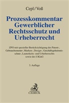 Christof Augenstein u a, Philipp Moritz Cepl, Philipp Moritz Cepl (Dr.), Voss, Ulrik Voss, Ulrike Voss - Prozesskommentar Gewerblicher Rechtsschutz und Urheberrecht