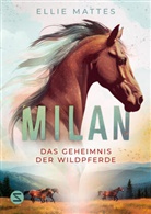 Ellie Mattes - Milan - Das Geheimnis der Wildpferde