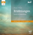 Theodor Fontane, Charles Brauer - Erz&auml;hlungen, 1 Audio-CD, 1 MP3 (Audio book)
