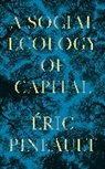 Eric Pineault, &Eacute;ric Pineault, Eric (Universite Du Quebec a Montreal) Pineault - Social Ecology of Capital