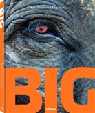 Marko Dimitrijevic, Amo Nachoum, Amos Nachoum, teneues - BIG