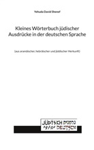 Yehuda David Shenef - Kleines W&ouml;rterbuch j&uuml;discher Ausdr&uuml;cke in der deutschen Sprache
