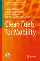 Avinash Kumar Agarwal, Giacomo Belgiorno, Giacomo Belgiorno et al, Gabriele Di Blasio, Gabriele Di Blasio, Avinas Kumar Agarwal... - Clean Fuels for Mobility