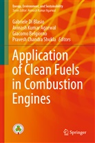 Avinash Kumar Agarwal, Giacomo Belgiorno, Giacomo Belgiorno et al, Gabriele Di Blasio, Gabriele Di Blasio, Avinas Kumar Agarwal... - Application of Clean Fuels in Combustion Engines