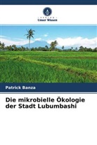 Patrick Banza - Die mikrobielle &Ouml;kologie der Stadt Lubumbashi